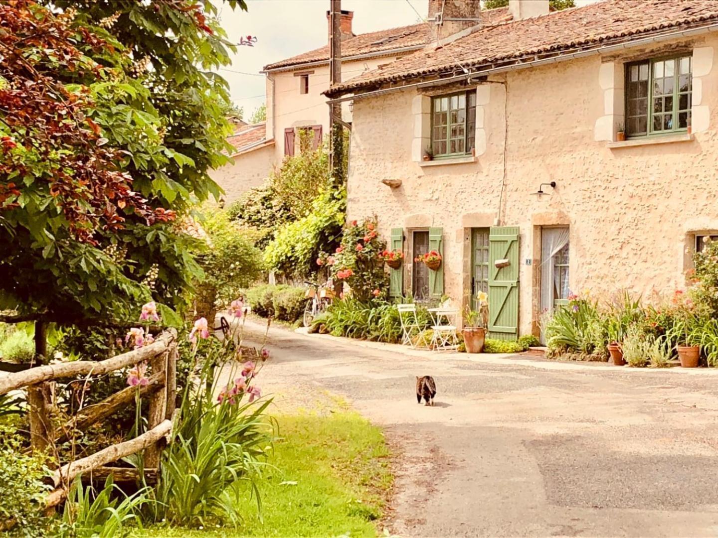 Bois Mort Farm Villa Gourgé Exterior foto